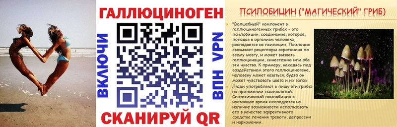 хочу наркоту Закаменск Галлюциногенные грибы GOLDEN TEACHER